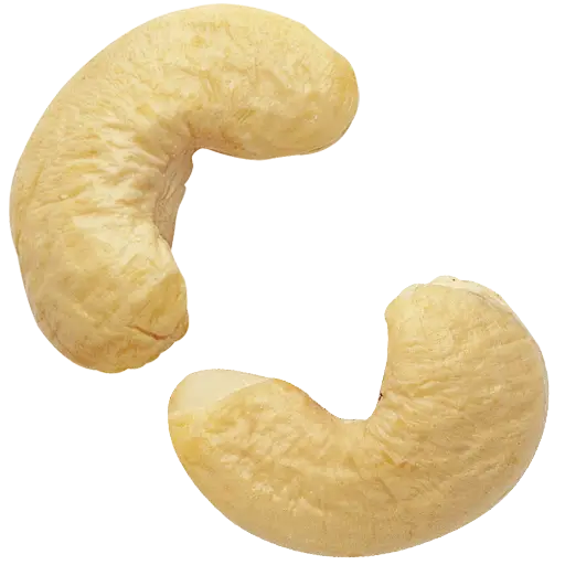 Cashew